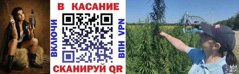 Купить наркотики сайты Новоржев ГАШ  МАРИХУАНА  APVP  Меф мяу мяу  КОКАИН 