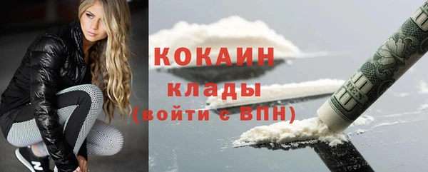 твердый Арсеньев