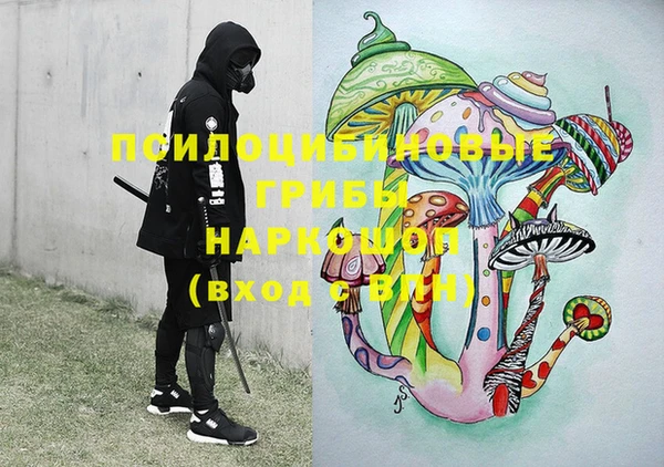 ПСИЛОЦИБИНОВЫЕ ГРИБЫ Армянск