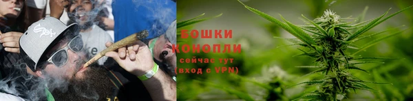 крисы Горно-Алтайск