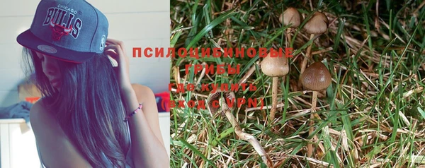твердый Арсеньев