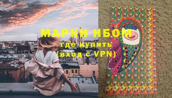 прущие грибы Аркадак