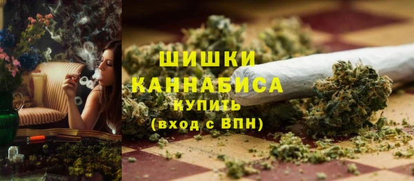 прущие грибы Аркадак