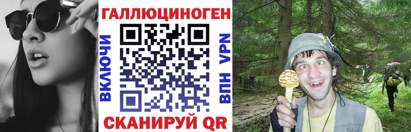 кракен ТОР  Новоржев  Псилоцибиновые грибы мицелий 
